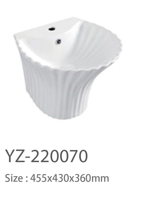 YZ-220070